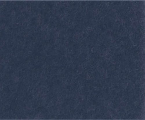 Phonocar 4/346 - Alfombra para el coche, 140 x 70