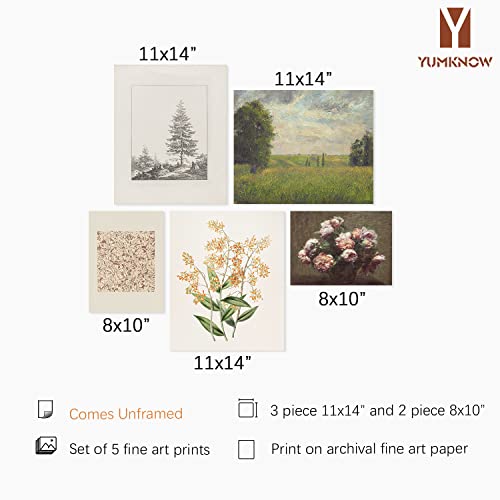 Vintage Botanical Wall Art Decor - 11X14 - Farmhouse Wall Decor For Bedroom Living Room Bathroom - Flower Poster Floral Pictures Plant Wall Prints For Kichen Decor - Rustic French Country Room Décor #TOP1