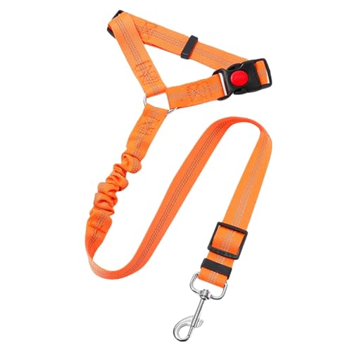 Tuyhnj wbhXgpԗpSV[gxgA߉\ȌpԗpV[gxg | pI[gV[gxgEH[LOn[lX - ^A^A^p̃|GXeň̌Pp[h