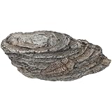 HOUDERCO 三葉虫化標 樹脂製古生物装飾品 教育収集用 軽量コンパクト インテリア飾り