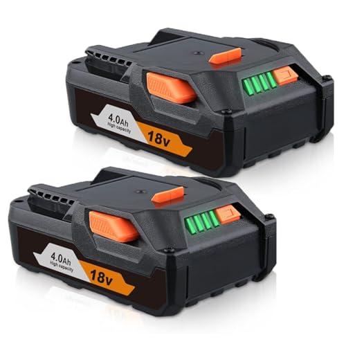 FERRYBOAT 2 Packs 4000mAh 18V R840085 Lithium Battery