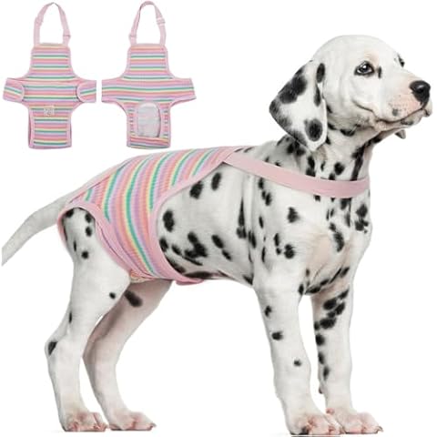Dog Diaper Suspenders Female Striped Sanitary Pantie with Adjustable Suspenders, Washable Dog Period Panties Physiological Pants, Dog Period Onesie Pet Breathable Jumpsuits (Rainbow Pattern, M) Cover