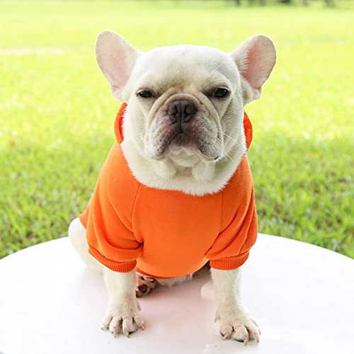 Dog Hoodie With Pocket Pet Warm Sweater For Winter Small Medium Dogs Puppy Coat Orange Xl #TOP7