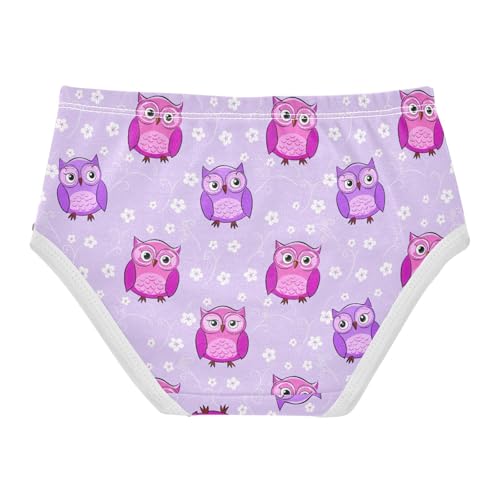 Joisal Cute Cartoon Owls Light Purple Panties for Girl Toddlers Underwear Floral Cotton Designer Briefs Kids Undies 2t2