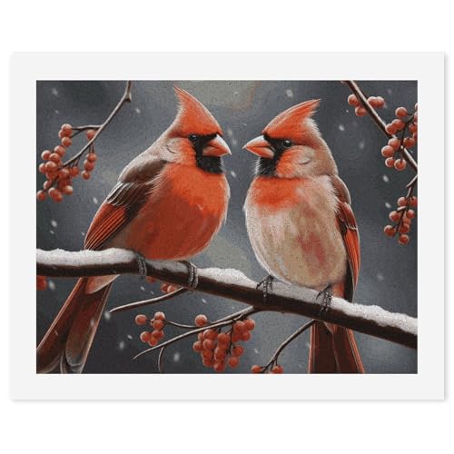 Peinture par numéros adultes oiseaux cardinaux kit acrylique