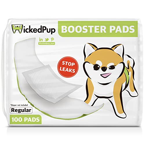 10 Best Dog Heat Pads to Keep Your Pup Warm and Cozy A Comprehensive