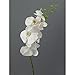 Produktbild creativ home Kunstblume, PHALENOPSIS 86 cm. Orchidee, Orchideentrieb in WEISS-40