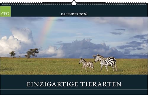 GEO - Einzigartige Tierarten 2026 – Wandkalender 58x36 cm, Poster-Kalender mit 12 Monatsblättern, deutschem Kalendarium & Spiralbindung, Tier-Fotografie-Kalender bedrohter Arten