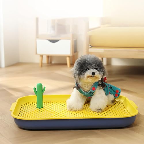 Litière pour chien plateau bleu jaune wc cage