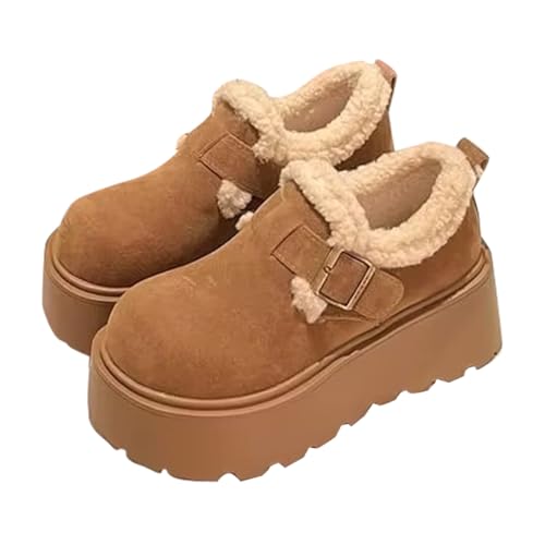 [RUDKSOM] [gu[c fB[X  Xm[u[c ӂӂ  C {A  ~  r K h ۉ  ʊw ʋ JWA AEghA t@bV wlC l H~ 25.0 cm