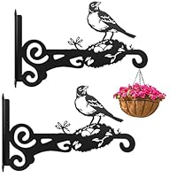 Ziwijity 2er-Set Metall Pflanzenaufhänger, Wandpflanzenhänger Stabile Wandhaken, Blumenampel Haken für Pflanzen, Vogelfutterhäuser, Windspiele & Laternen,Rostfrei Hängehalterungen (Schwarz 2 Stück)