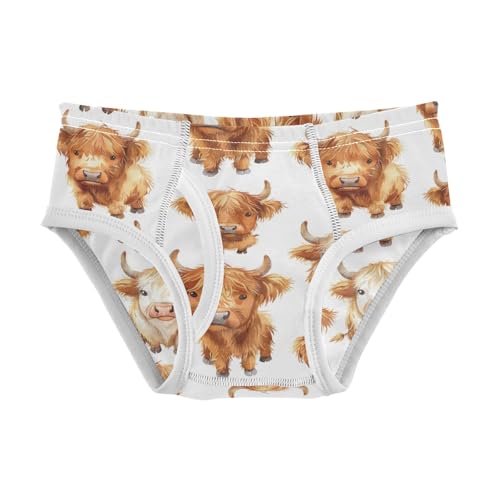 Boys' Exclusive Briefs Toddler Underwear 95% Combed Cotton Boxerbriefs 2T Highland Cow Pattern 17