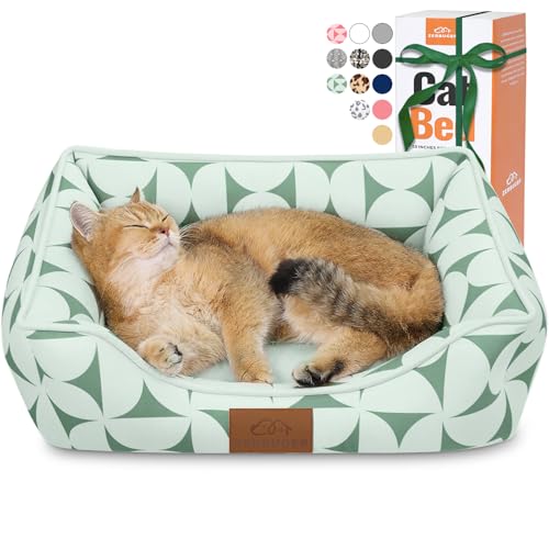 Zerbuger ` L pxbh ^ M ^ ybgp  O @ X[sO\t@ ~  \tg q xbh v `O  ybg  (SAO[p^[)