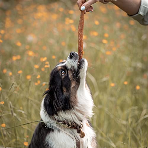Bellfor Hirsch-Sehne – Kauartikel für Hunde – 200 g – Getreidefreies Leckerli für Welpen, Senioren und Empfindliche Hunde – Unterstützt die Zahnpflege