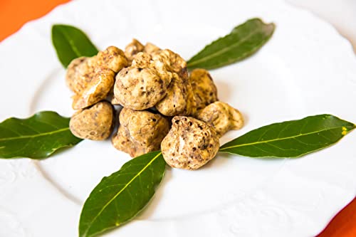 Tealdi, Pesto mit weißem Trüffel und Basilikum Genovese, aus Italien, 80 g