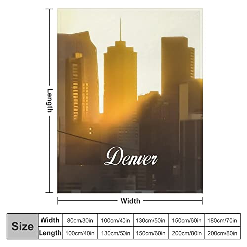 Couverture en flanelle Denver 178x203 cm paysage urbain grise - 3