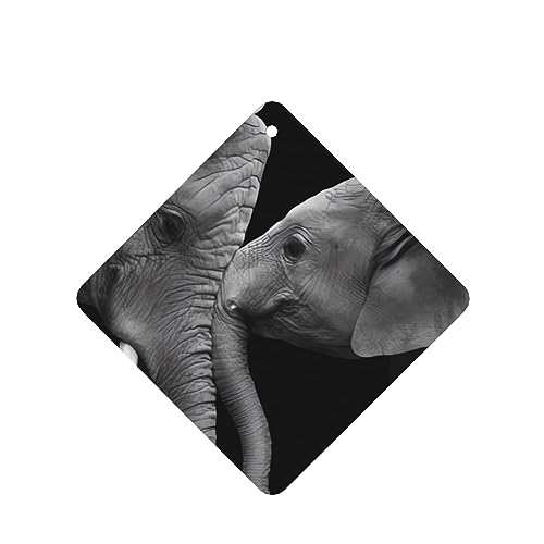 Ɣ2̏ۂ̎ԗpF p[\iCYꂽ̃XCX J[A}Zs[^ubg ݂艺F܃J[h [vt 4 ԂƂ̑p