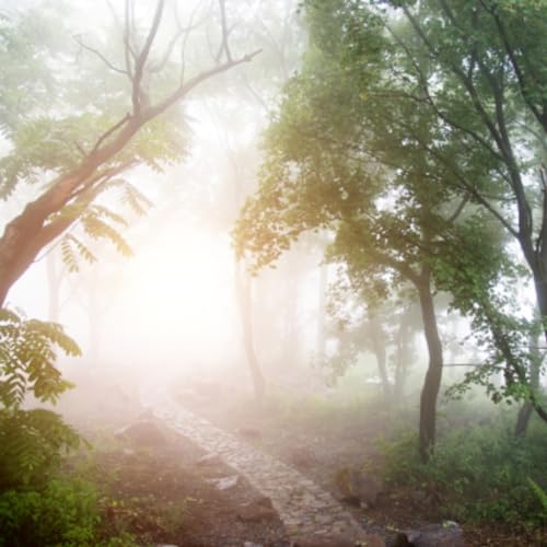 Path Of The Wind Podcast Por  arte de portada