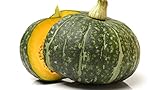 Fresh Whole Kabocha Squash (Japanese Winter Squash) by Greenhouse PCA