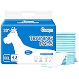 COCOYO Best Value Training Pads, 30"X36" , XXL - 80 Count,White