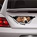 Autocollant 3D en vinyle pour voiture Beagle - Pour décoration de voiture, fenêtre, pare-chocs, ordinateur portable