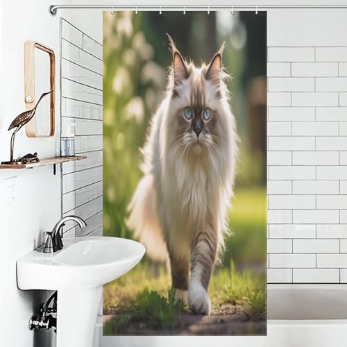 Rideau de douche chat en polyester lavable haute qualité avec 12 crochets - 6