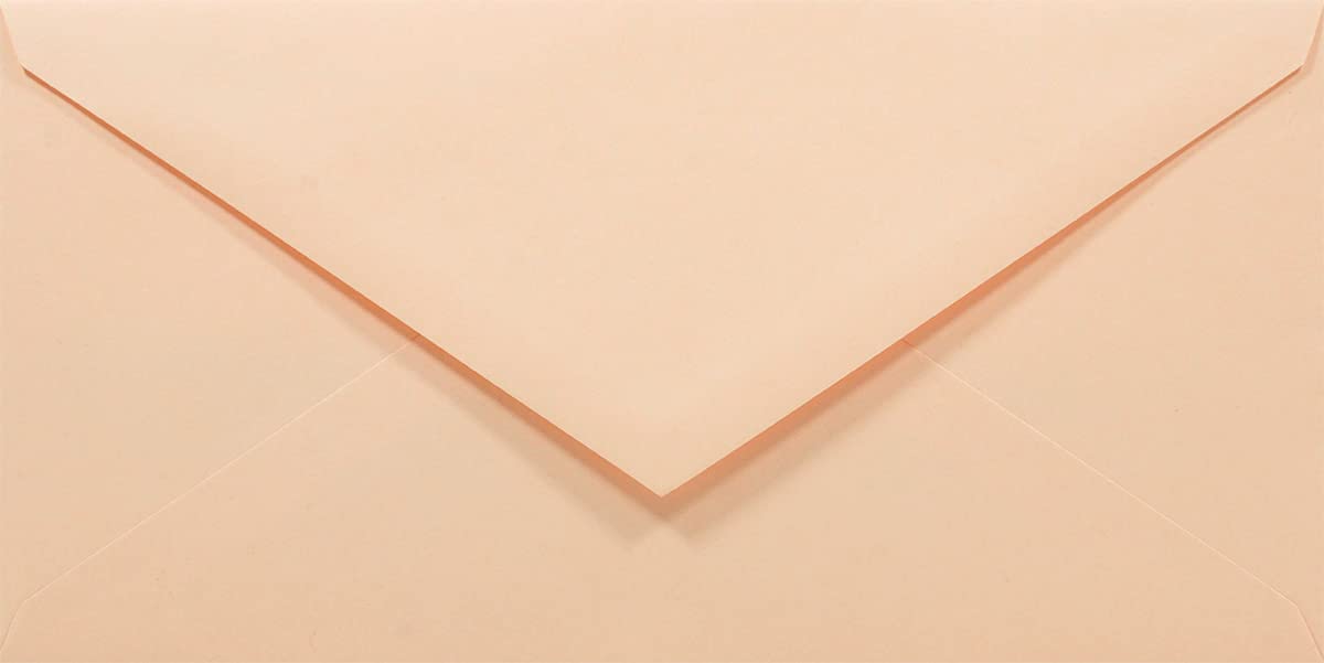 Netuno 1000 Salmon Coloured envelopes DL 110 x 220 mm 4.33 x 8.66 in 80gsm Rainbow Decorative Envelope Colourful Long envelopes for Letters Flyers Business Cards Birthdays Weddings — image 1