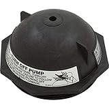 Pentair 154570 6-Inch Buttress Thread Closure Replacement Triton II Pool and Spa Fiberglass Sand Filter