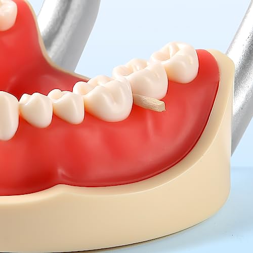 Jmu 51501-6 Dental Wooden Wedges thumb #2