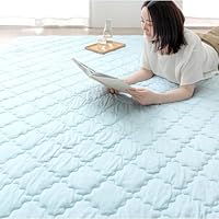 Amazon | タンスのゲン カバーリングラグ ひんやり冷感！超極厚60