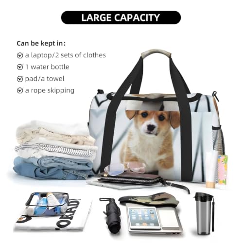 Bolsa de viaje para cachorros de alta resistencia y diseño plegable 6