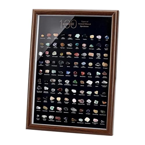 Colección Rock para niños, juego de decoración de exhibición de exploración de rocas, caja de gemas de colección de cristal, kit educativo de ciencia para entusiastas, estudiantes, principiantes