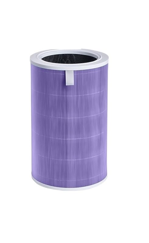 Filtre de remplacement pour purificateur d'air Pro H Purple pour air sain à la maison