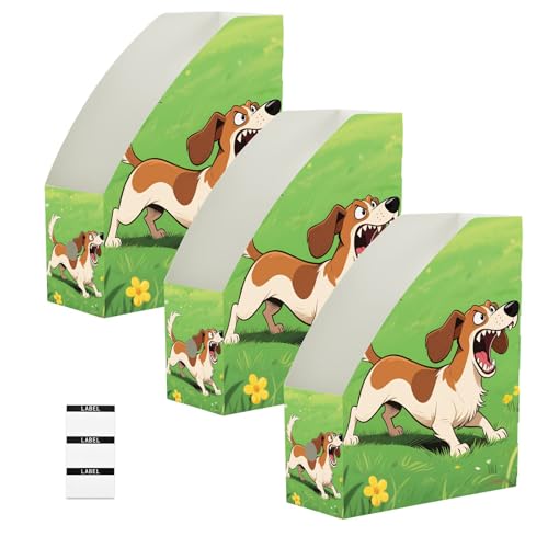 Boîtes rangement magazines plastique pliables protègent revues - 2