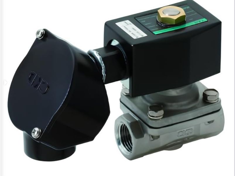 マネ 油彩 肉筆『モリゾ婦人』サイン ギャラリーシール F8号 額装 b623