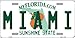 Smart Blonde LP-6007 Miami Florida Novelty Metal License Plate