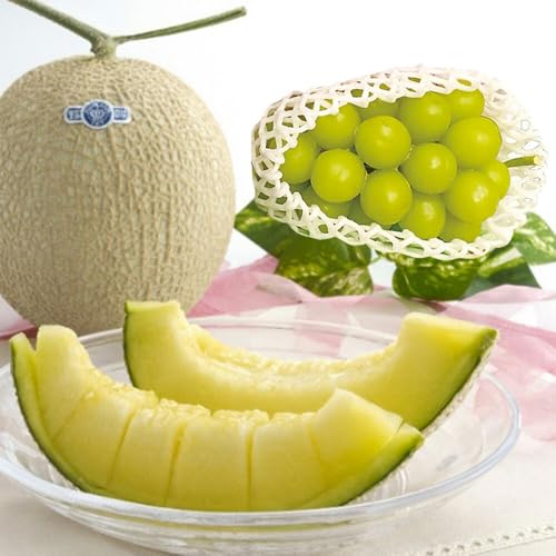 ~Mtg Ε ʕlߍ킹 t[clߍ킹  Y 2Zbg [ ÉY NE}XN(1) / 쥎RY VC}XJbg Ԃǂ(1[ 500~600g) ] W[V[ōMȍ̃VC}XJbgEō