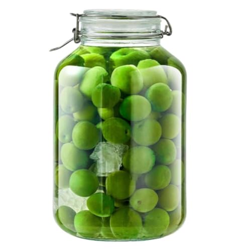 BlendUp ʎт KX ~r r ۑe 1.5L?5L ApKXr t Cr e  }E~Ή r  e Hiۑp (5L,p^) [sAi]