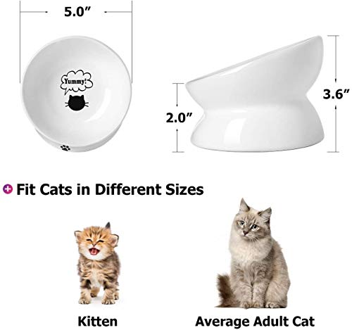 Y YHY Cat Bowl Anti Vomiting, Raised Cat Food Bowls, Tilted Elevated Cat Bowl, Ceramic Pet Food Bowl for Flat Faced Cats… - Image 3