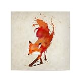 artboxONE Poster 20x20 cm Natur Vulpes Vulpes hochwertiger 