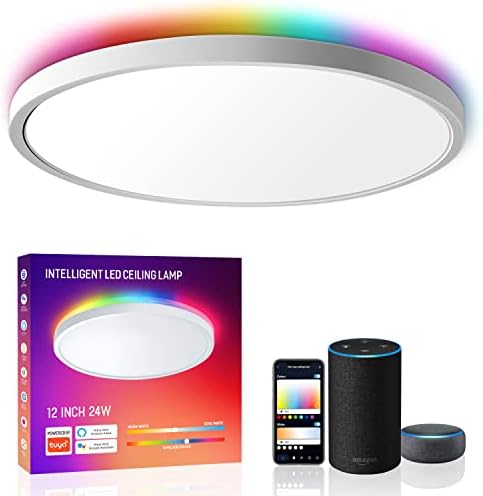 MELEGAN Smart Led Ceiling Light Flush Mount, 12 Inch 24W Ceiling Light Fixture Dimmable 2700K-6500K, RGB Ambient Light Fixture WiFi Work with Alexa Google Home for Bedroom Living Room
