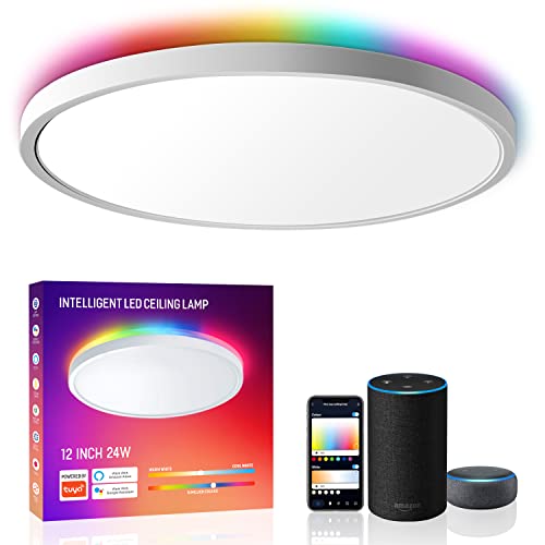Melegan Smart Led Ceiling Light Flush Mount, 12 Inch 24W Ceiling Light Fixture Dimmable 2700K-6500K, Rgb Ambient Light Fixture Wifi Work With Alexa Google Home For Bedroom Living Room #TOP2