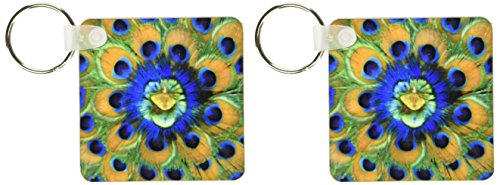 Porte-clés de 6 cm en plumes de paon David R Frazier 3dRose As10 Dfr0096