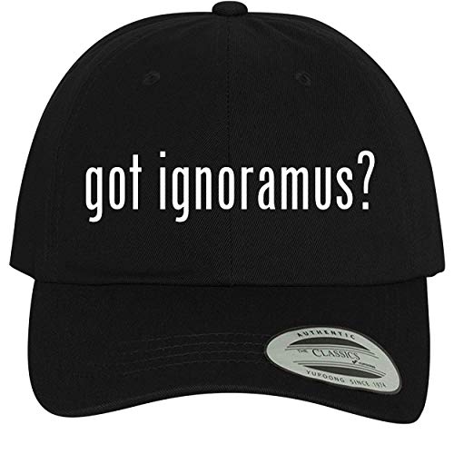 BH Cool Designs got Ignoramus? - Comfortable Dad Hat Baseball Cap, Black