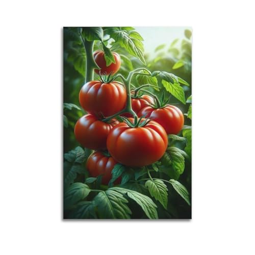 Poster mural tomates rouges sur vigne ZHOUKEG 60x90 cm
