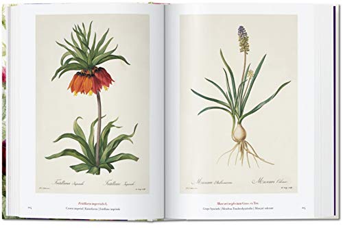 Taschen Redouté Book of Flowers Complete Plates #TOP26