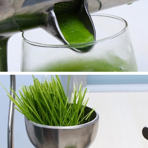 Exprimidor manual portátil de pasto de trigo para disfrutar de jugos frescos en cualquier lugar 7