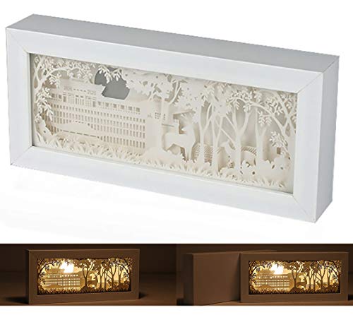 CHSHY 3D Decor Papier Sculpture Lampe, Nuit LED Papier Ombre boîte de lumière, Ambiance Nuit lumière Romantique Ambiance Amant Chambre Salon