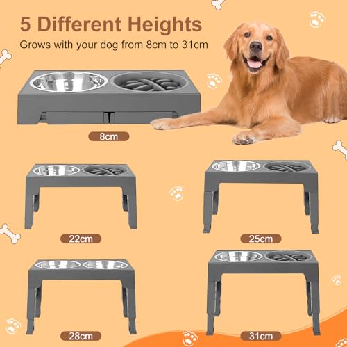Tivifore Ciotole Rialzate per Cani, Porta Ciotole