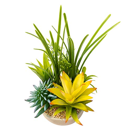 BEGONDIS Artificial Succulents Plants Plastic Fake Topiary Selected Combination with Gray Pot for Home Décor
